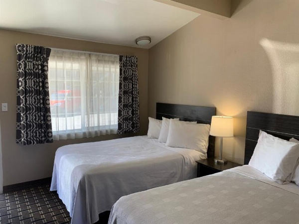 Black Jack Inn image 10